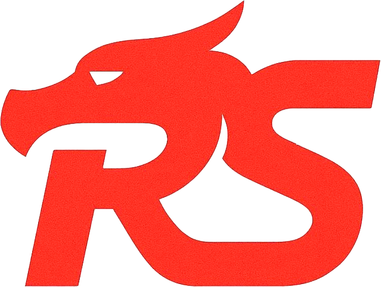 RUILONG STEEL logo